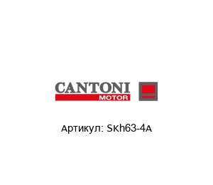 SKh63-4A Cantoni Motor Электродвигатель