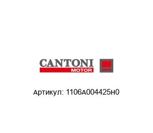 1106A004425H0 Cantoni Motor Электродвигатель