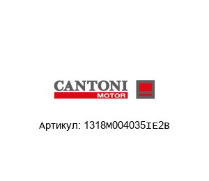 1318M004035IE2B Cantoni Motor Электродвигатель