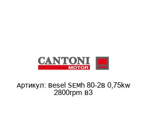 Besel SEMh 80-2B 0,75kw 2800rpm B3 Cantoni Motor Электродвигатель