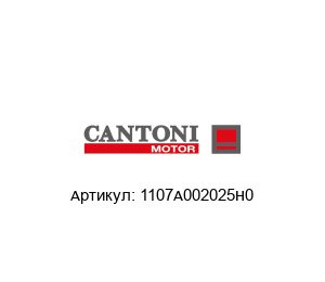 1107A002025H0 Cantoni Motor Электродвигатель