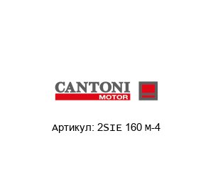 2SIE 160 M-4 Cantoni Motor Двигатель