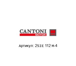 2SIE 112 M-4 Cantoni Motor