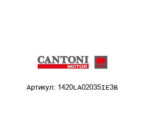 1420LA02035IE3B Cantoni Motor Электродвигатель