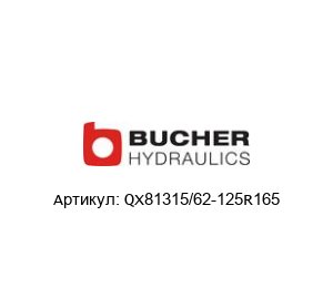 QХ81315/62-125R165 Bucher Hydraulics