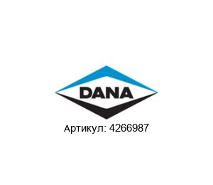 4266987 DANA Spicer