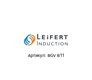BGV B11  Leifert Induction Магнитные измерения напряженности