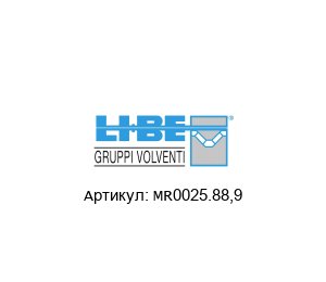 MR0025.88,9 LI-BE / S.4M Bearings Подшипник