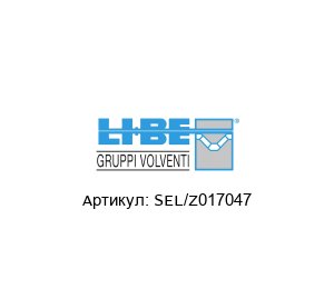 SEL/Z017047 LI-BE / S.4M Bearings Подшипник