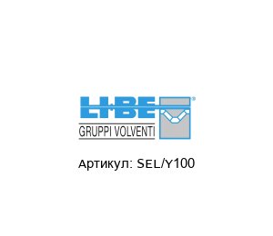 SEL/Y100 LI-BE / S.4M Bearings