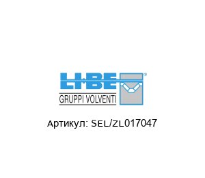 SEL/ZL017047 LI-BE / S.4M Bearings