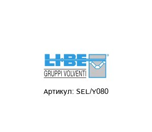 SEL/Y080 LI-BE / S.4M Bearings