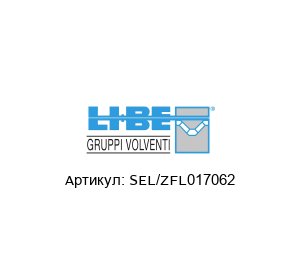 SEL/ZFL017062 LI-BE / S.4M Bearings