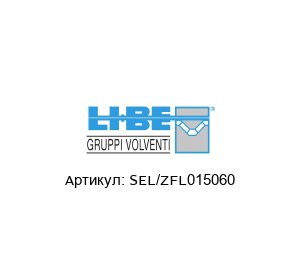 SEL/ZFL015060 LI-BE / S.4M Bearings