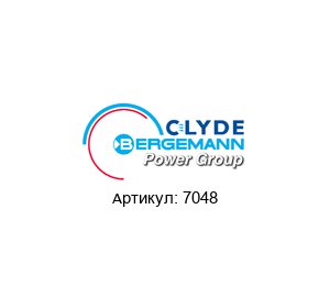 7048 CLYDE BERGEMANN Шприц