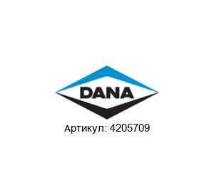 4205709 DANA Spicer