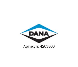 4203860 DANA Spicer