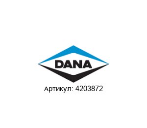 4203872 DANA Spicer
