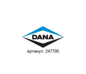 247795 DANA Spicer