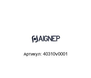 40310V0001 Aignep