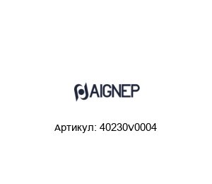 40230V0004 Aignep