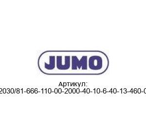 602030/81-666-110-00-2000-40-10-6-40-13-460-000 JUMO Термостат
