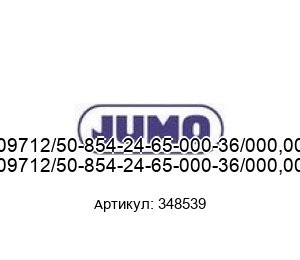 909712/50-854-24-65-000-36/000,000 348539 JUMO