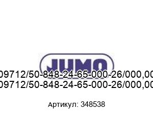 909712/50-848-24-65-000-26/000,000 348538 JUMO