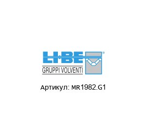 MR1982.G1 LI-BE / S.4M Bearings Подшипник