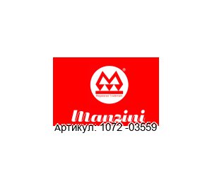 1072 -03559 MANZINI PUMPS Прокладка