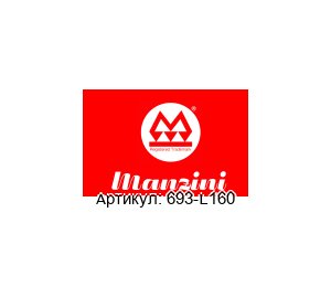 693-L160 MANZINI PUMPS Прокладка