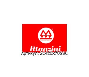 2C420X70GSC MANZINI PUMPS Насос