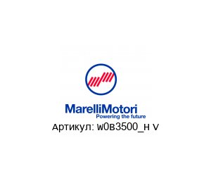 W0B3500_H V MarelliMotori Индукционный мотор