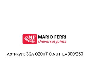 3GA O20H7 O.NUT L=300/250 Mario Ferri