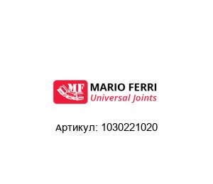 1030221020 Mario Ferri