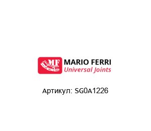 SG0A1226 Mario Ferri