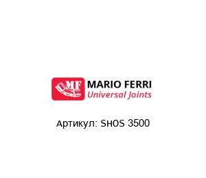 SHOS 3500  Mario Ferri