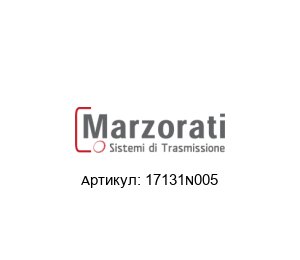 17131N005 Marzorati Редуктор