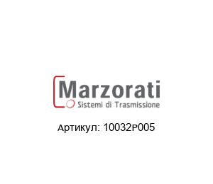 10032P005 Marzorati Редуктор