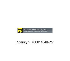 70001104B-AV MASTER PNEUMATIC Пневматический инжектор