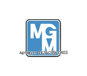 IE3AC09LC403 MGM Electric Motors Электрический двигатель