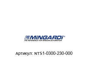 NTS1-0300-230-000 Mingardi Электрический привод
