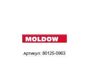 80125-0963 Moldow Рельсовая шина