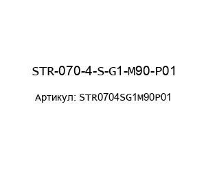 STR-070-4-S-G1-M90-P01 STR0704SG1M90P01 MP Filtri Фильтр