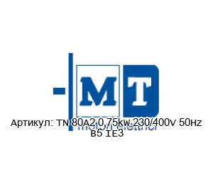 TN 80A2 0,75kW 230/400V 50Hz B5 IE3 MT Motori Elettrici Мотор