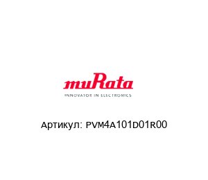 PVM4A101D01R00 Murata Power Solutions
