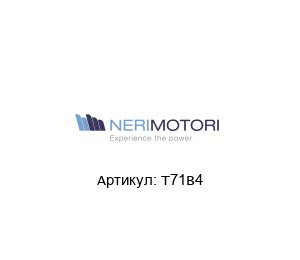 T71B4 Neri Motori Двигатель
