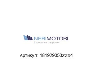 181929050ZZX4 Neri Motori Двигатель