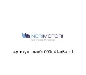 DNB0T090L41-B5-FL1 Neri Motori Электродвигатель