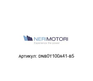 DNB0T100A41-B5 Neri Motori Электродвигатель